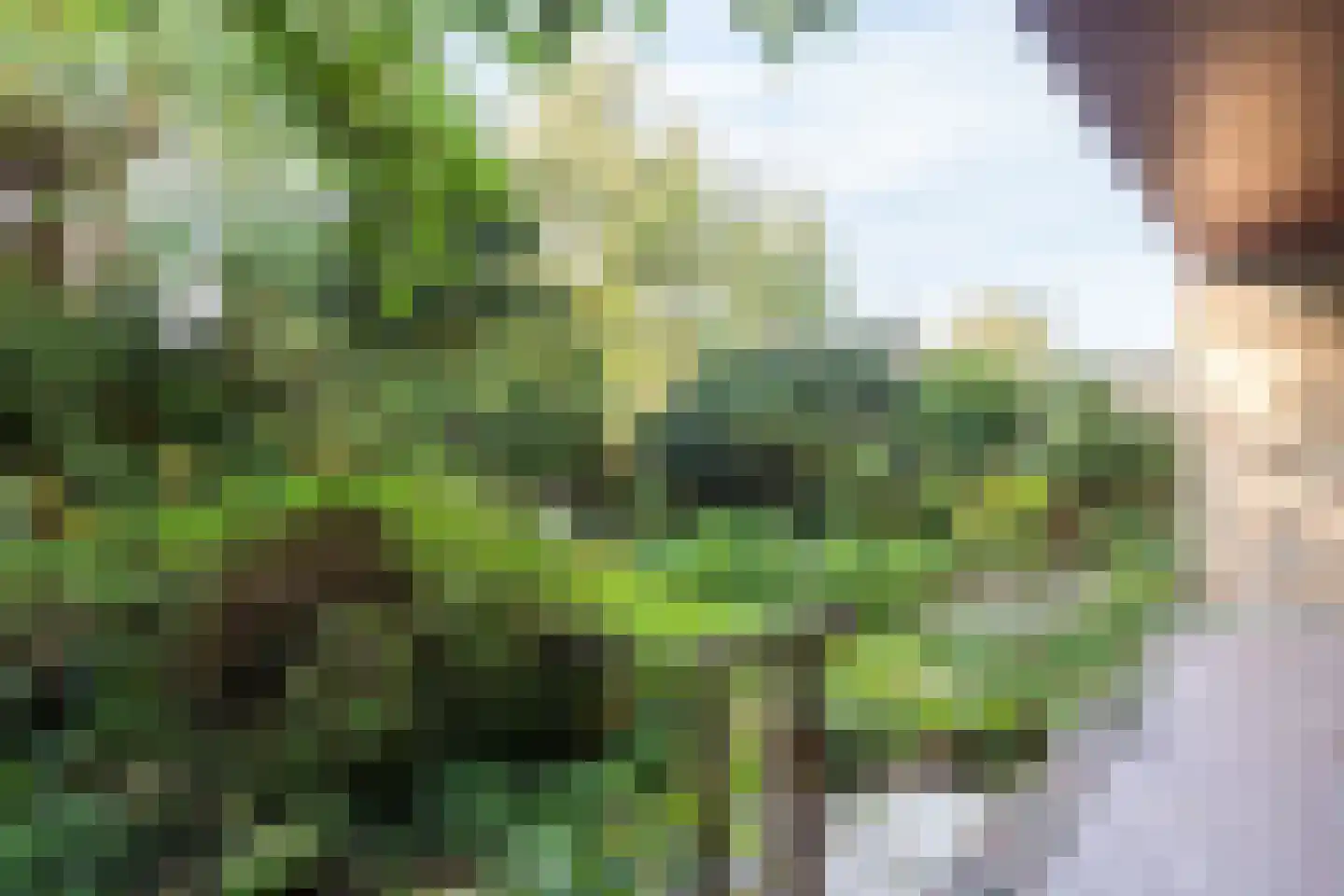 Hofdijck 48 Oegstgeest thumbnail 47