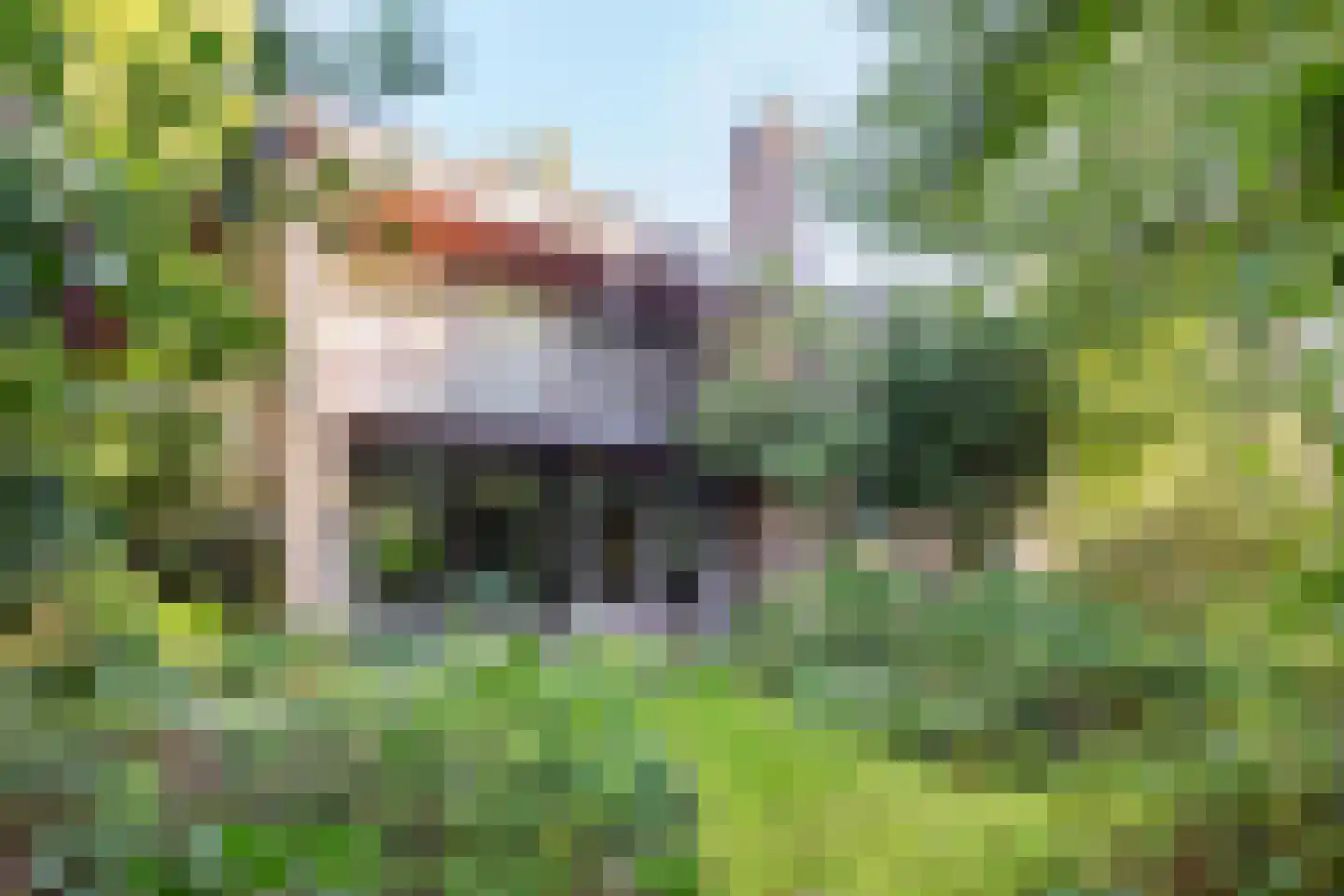 Hofdijck 48 Oegstgeest thumbnail 48
