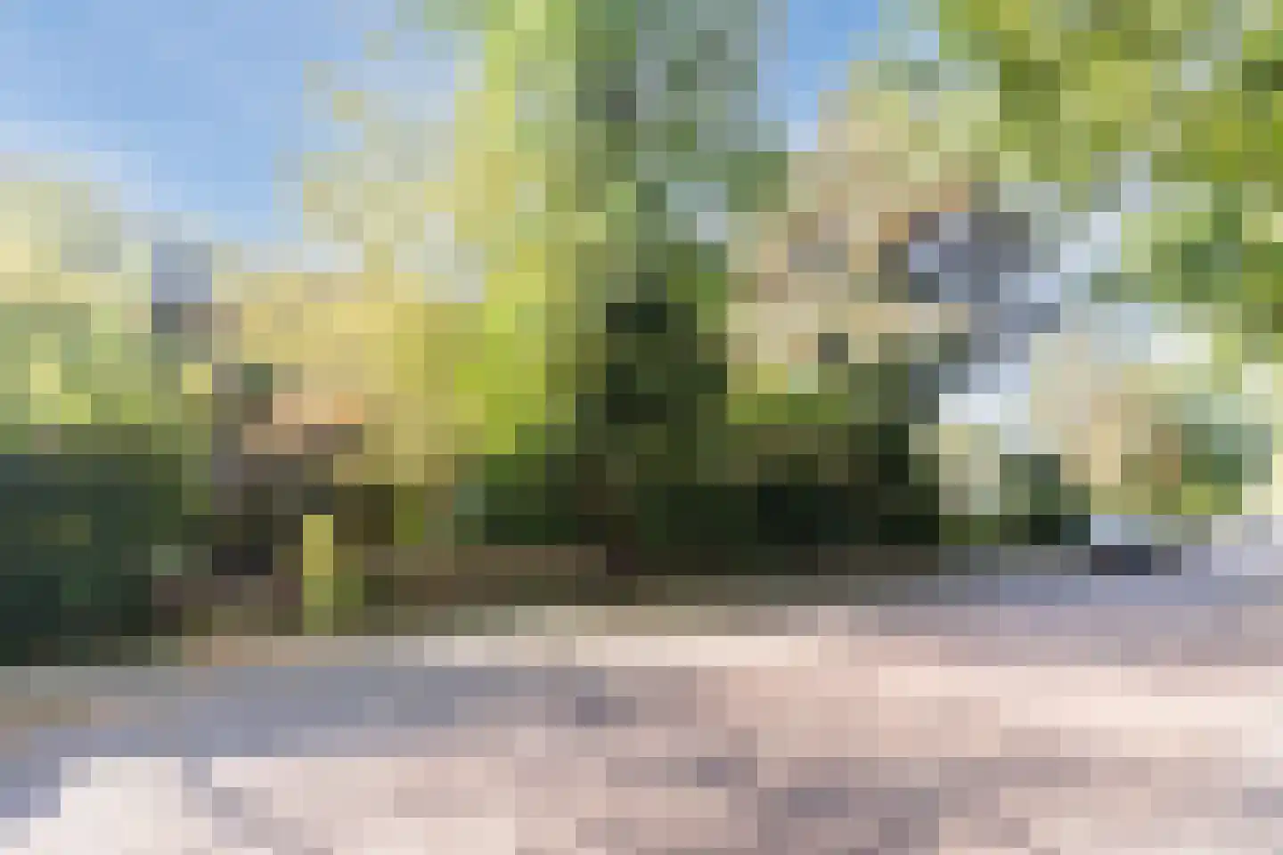 Hofdijck 48 Oegstgeest thumbnail 49