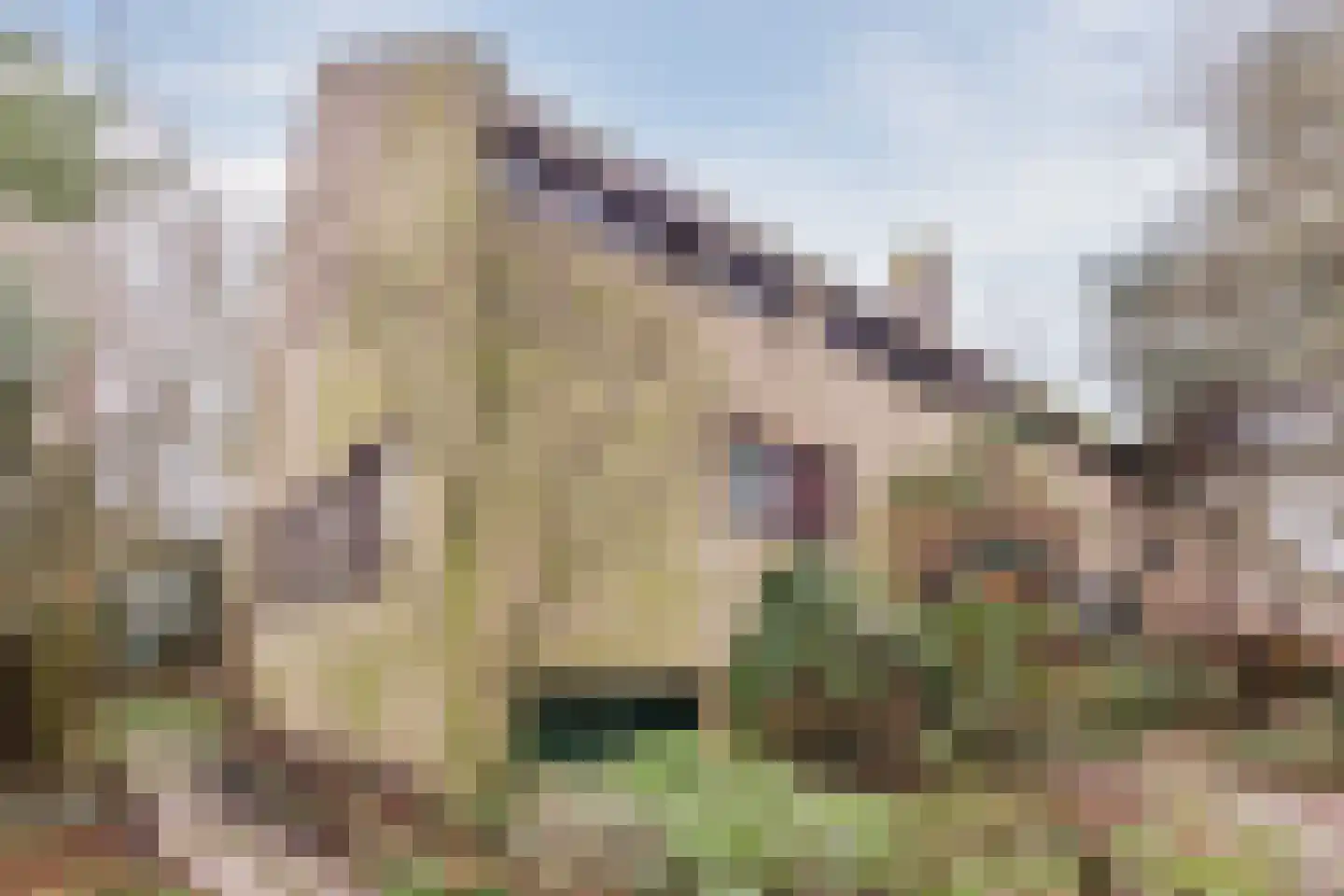 Hofdijck 48 Oegstgeest thumbnail 5