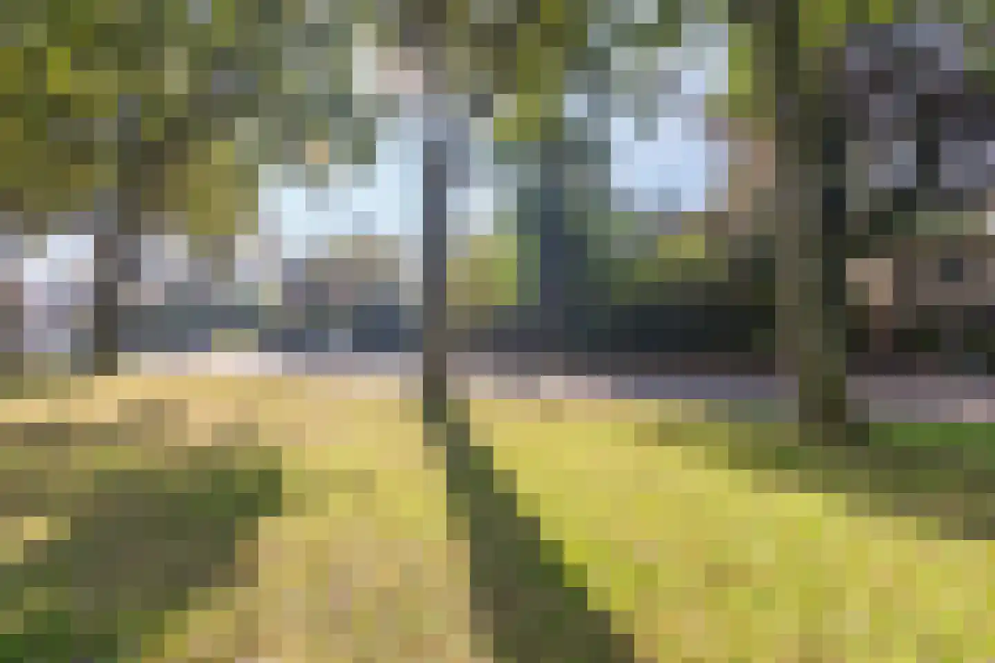 Hofdijck 48 Oegstgeest thumbnail 50