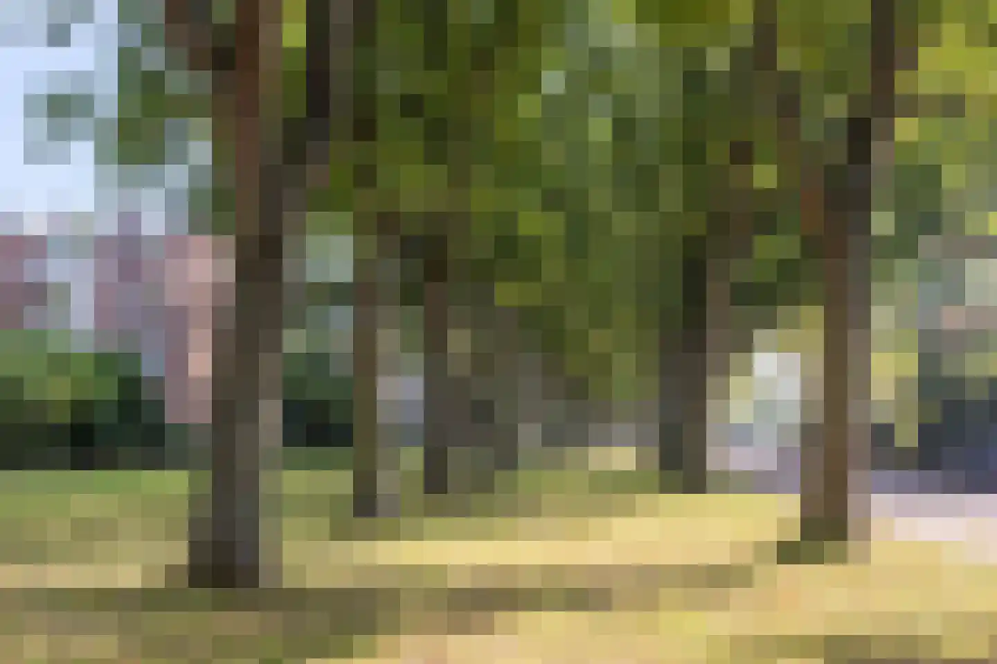 Hofdijck 48 Oegstgeest thumbnail 53