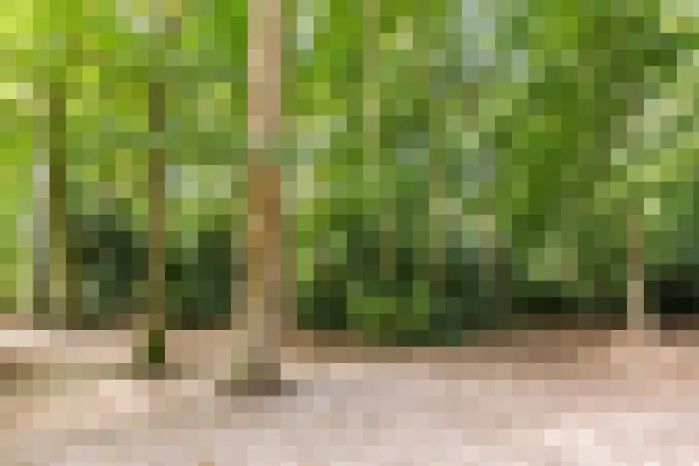 Hofdijck 48 Oegstgeest thumbnail 56
