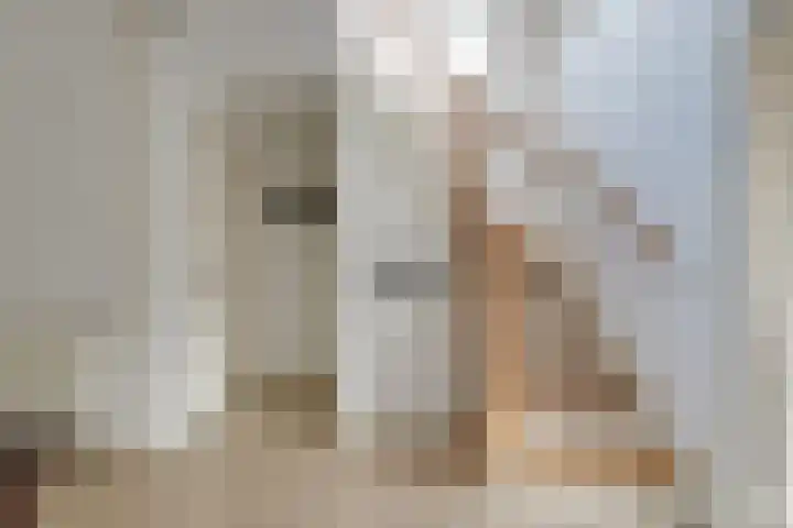 Hofdijck 58 Oegstgeest thumbnail 35