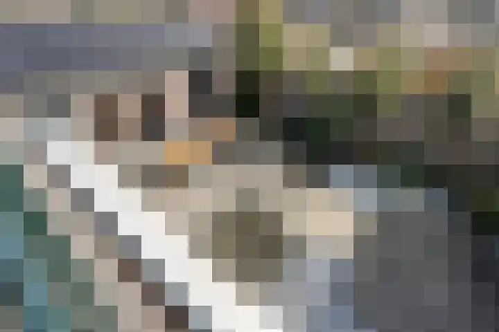 Hofdijck 58 Oegstgeest thumbnail 47
