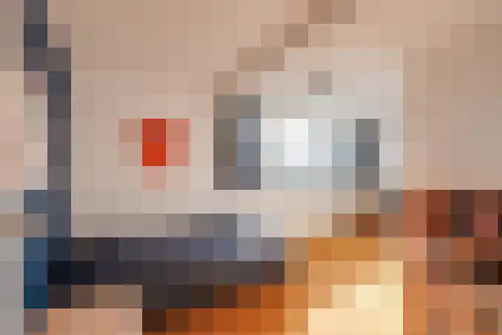 Hofdijck 58 Oegstgeest thumbnail 59