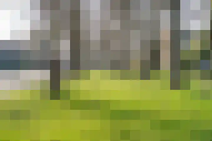 Hofdijck 58 Oegstgeest thumbnail 63