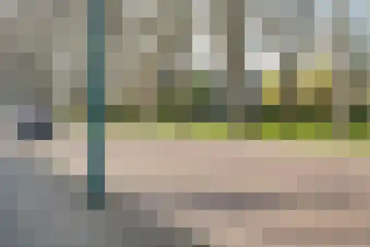 Hofdijck 58 Oegstgeest thumbnail 64