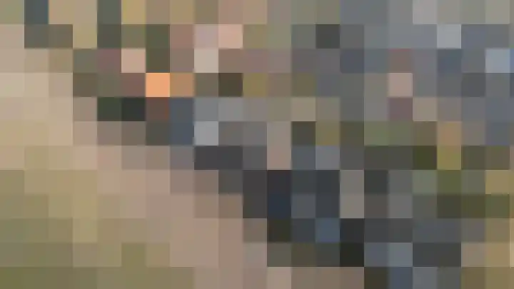 Hofdijck 58 Oegstgeest thumbnail 69