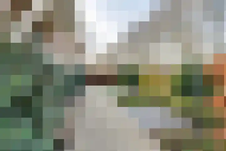 Hofdijck 58 Oegstgeest thumbnail 8