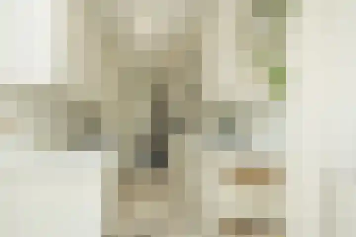 Hofdijck 88 Oegstgeest thumbnail 10