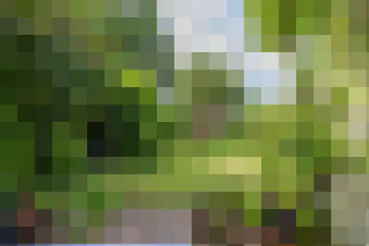 Hofdijck 88 Oegstgeest thumbnail 19