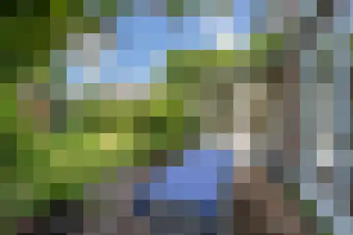 Hofdijck 88 Oegstgeest thumbnail 20