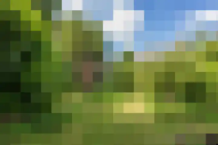 Hofdijck 88 Oegstgeest thumbnail 21