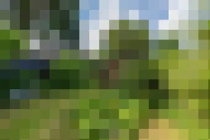 Hofdijck 88 Oegstgeest thumbnail 22
