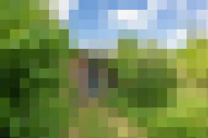 Hofdijck 88 Oegstgeest thumbnail 23