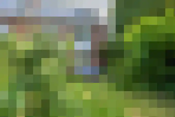 Hofdijck 88 Oegstgeest thumbnail 24