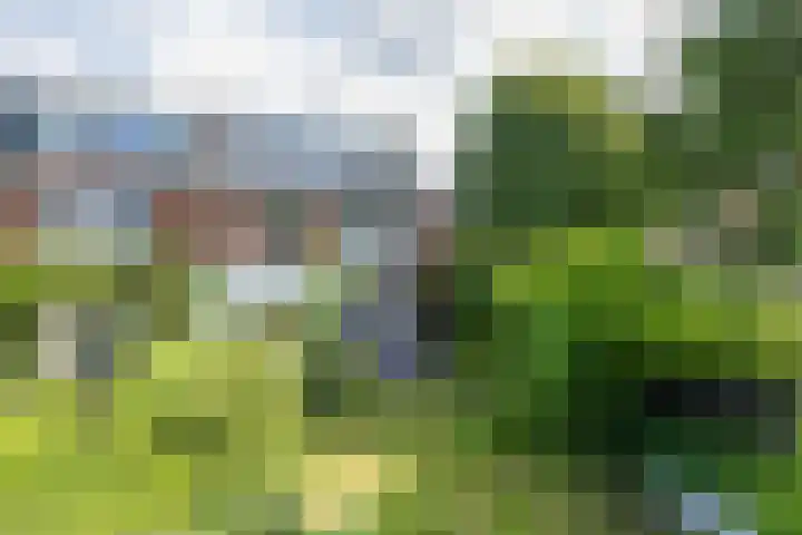 Hofdijck 88 Oegstgeest thumbnail 25