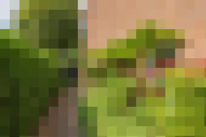 Hofdijck 88 Oegstgeest thumbnail 26
