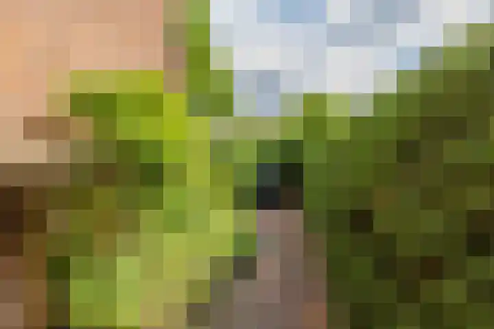 Hofdijck 88 Oegstgeest thumbnail 27