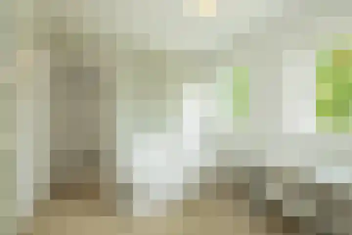 Hofdijck 88 Oegstgeest thumbnail 39