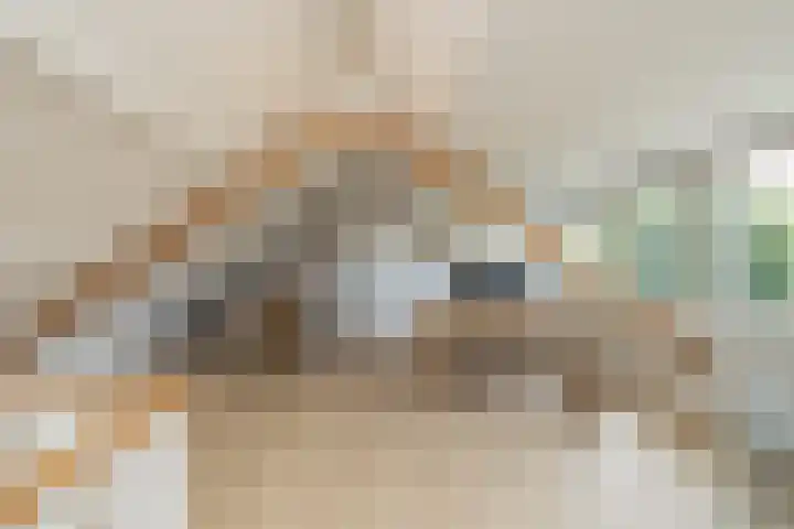 Hofdijck 88 Oegstgeest thumbnail 42
