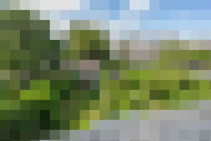 Hofdijck 88 Oegstgeest thumbnail 44