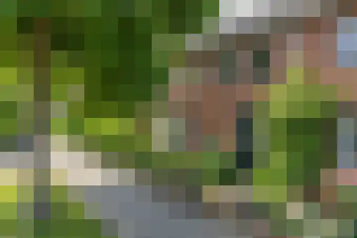 Hofdijck 88 Oegstgeest thumbnail 45