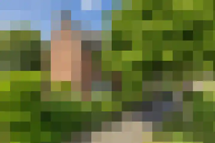 Hofdijck 88 Oegstgeest thumbnail 5