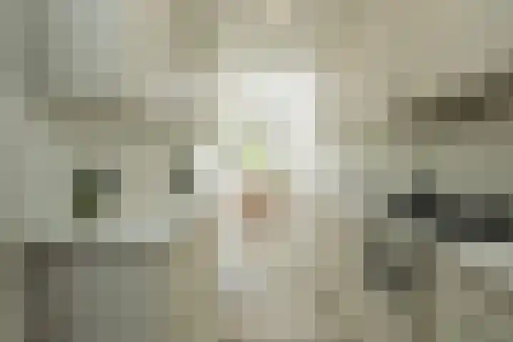 Hofdijck 88 Oegstgeest thumbnail 9