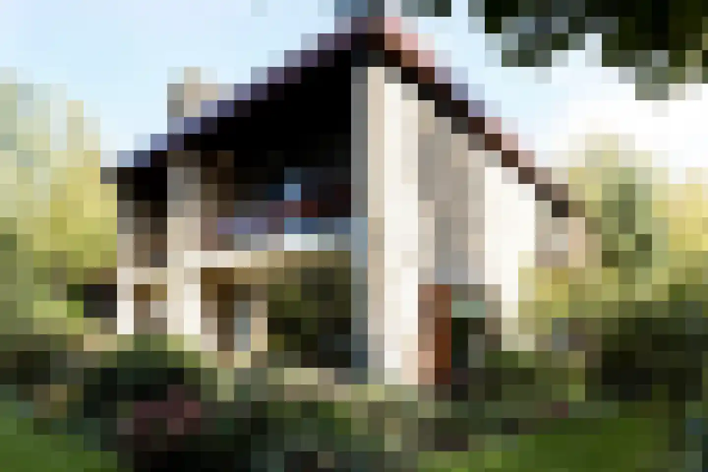 Hofdijck 90 Oegstgeest