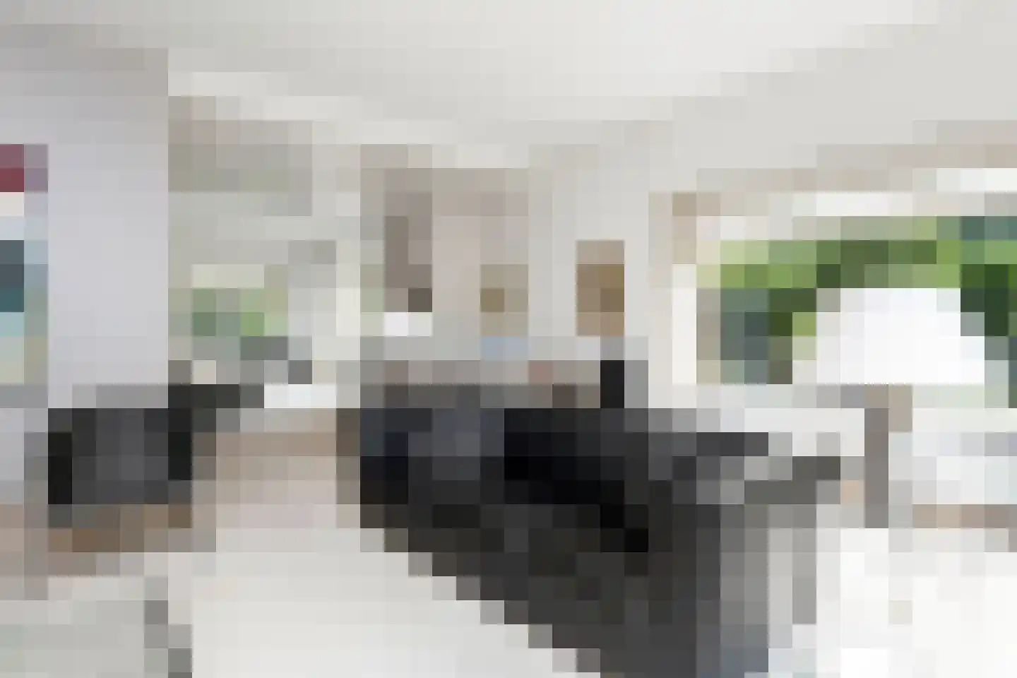 Hofdijck 90 Oegstgeest thumbnail 13