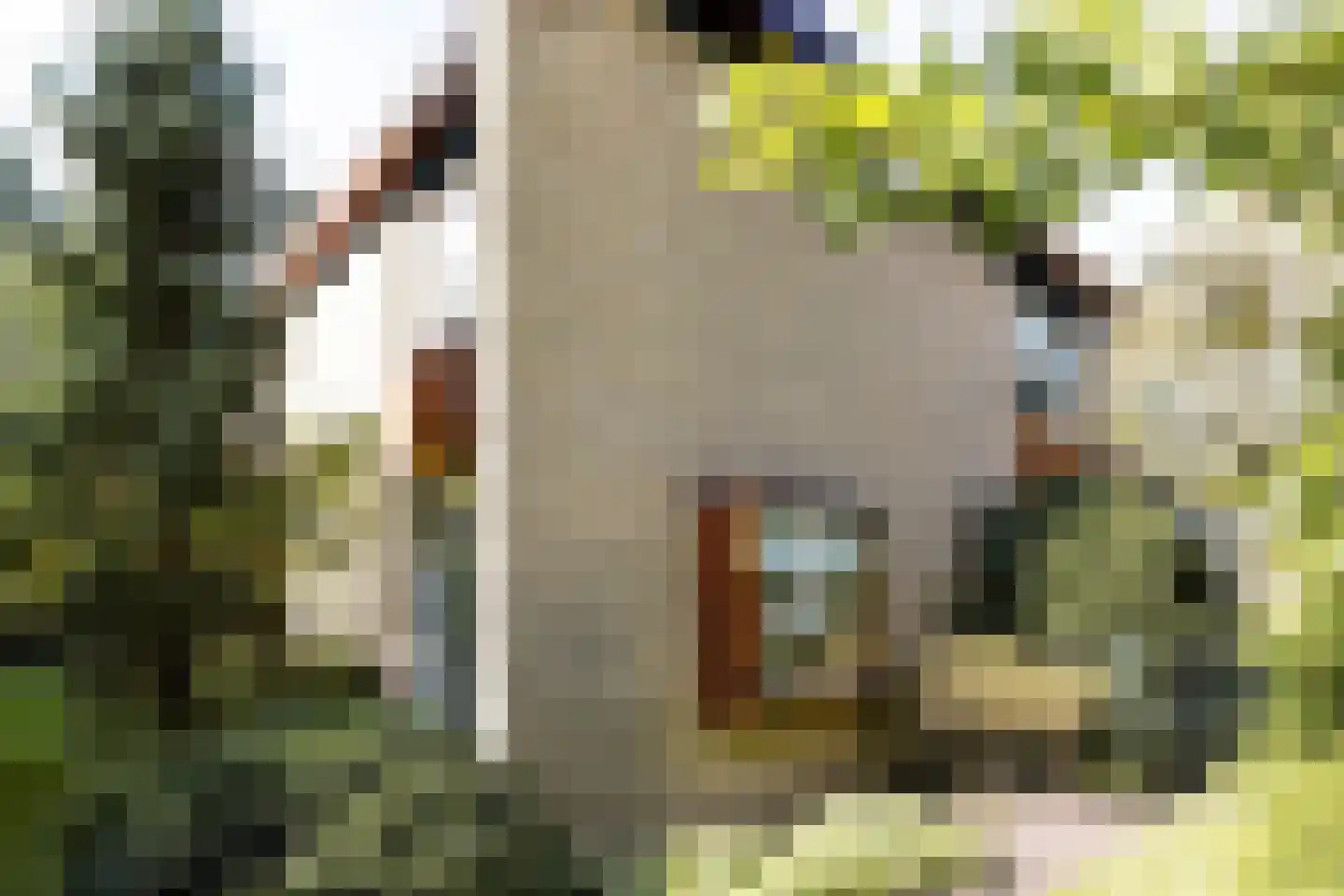 Hofdijck 90 Oegstgeest thumbnail 18