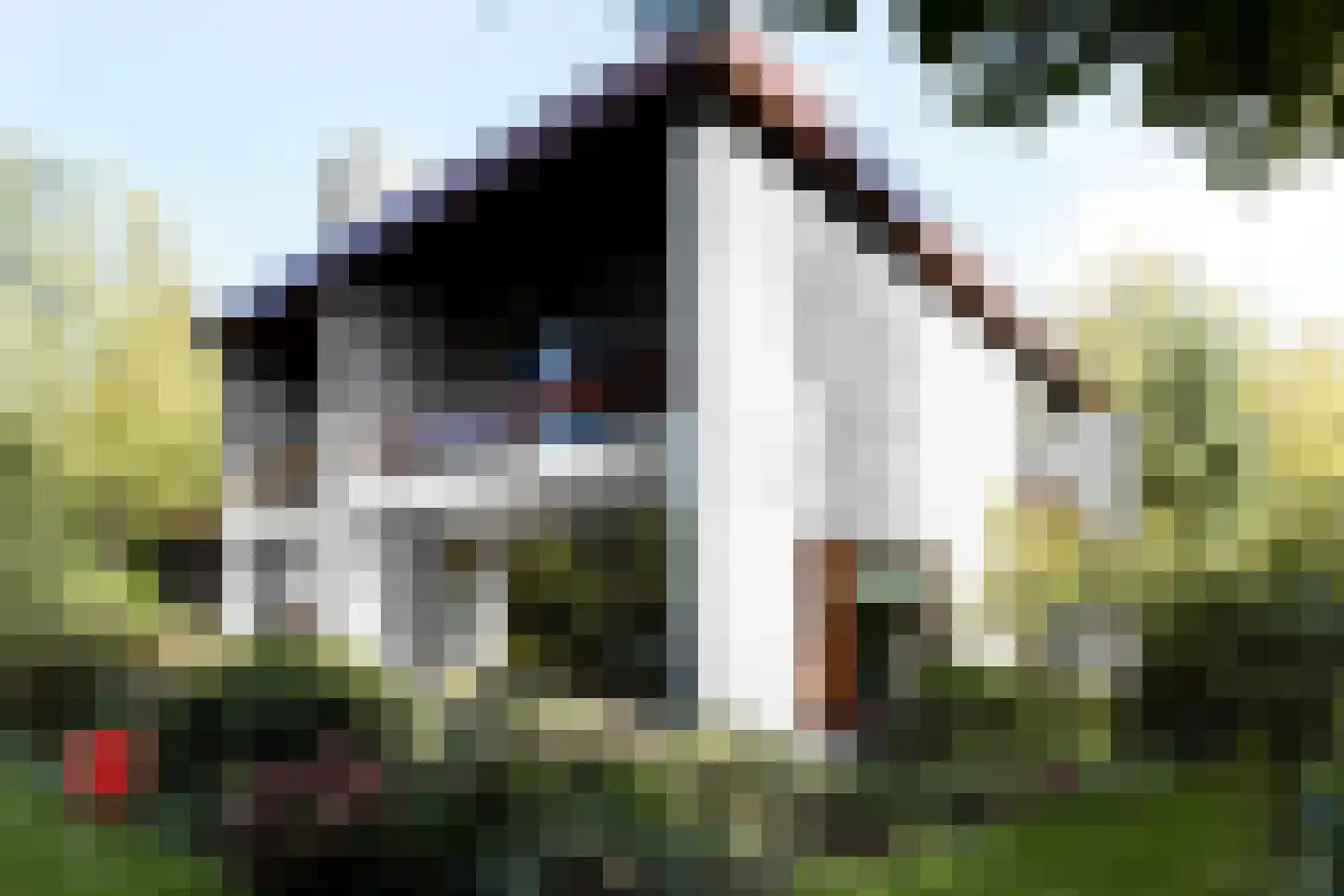 Hofdijck 90 Oegstgeest thumbnail 19