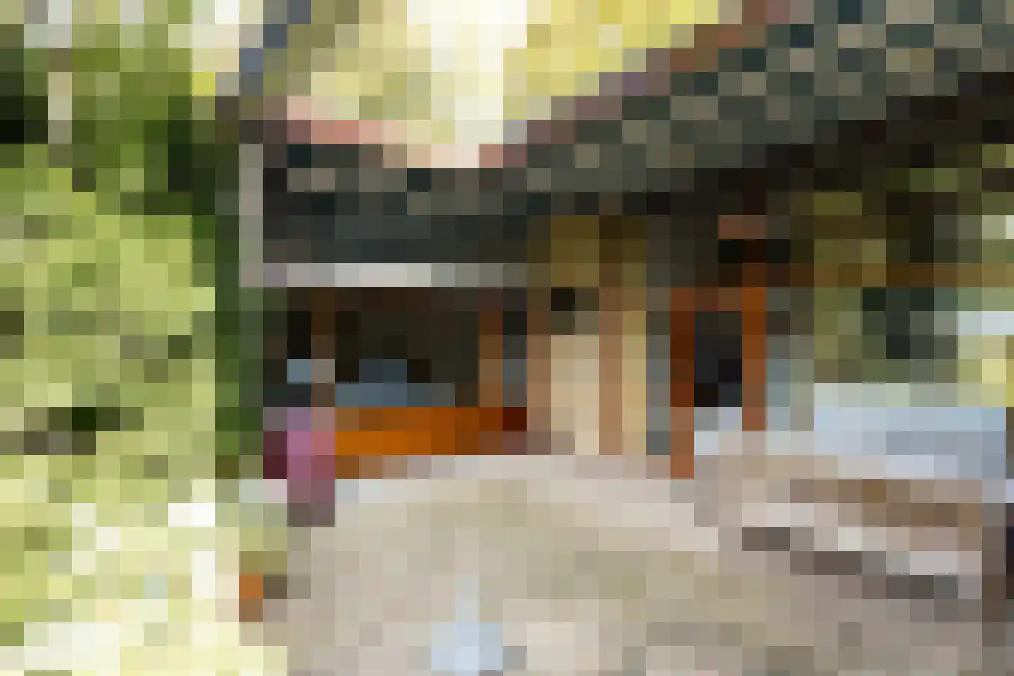 Hofdijck 90 Oegstgeest thumbnail 24