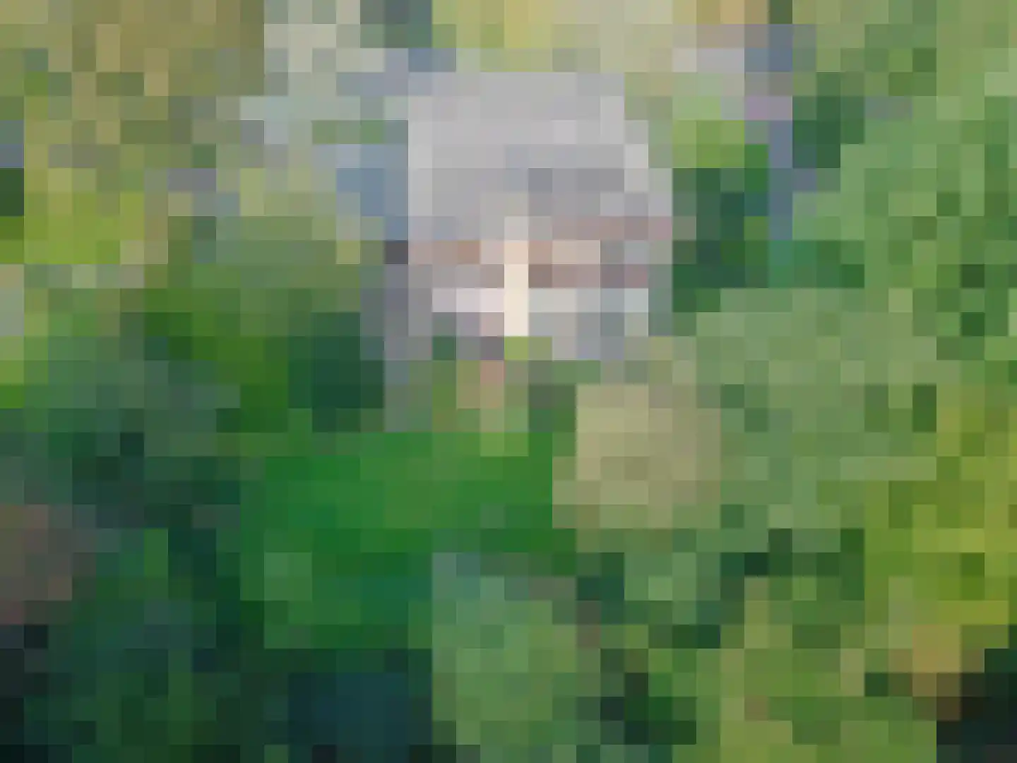 Hofdijck 90 Oegstgeest thumbnail 37