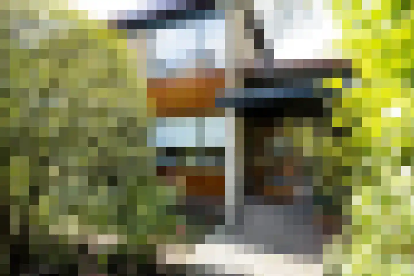Hofdijck 90 Oegstgeest thumbnail 5