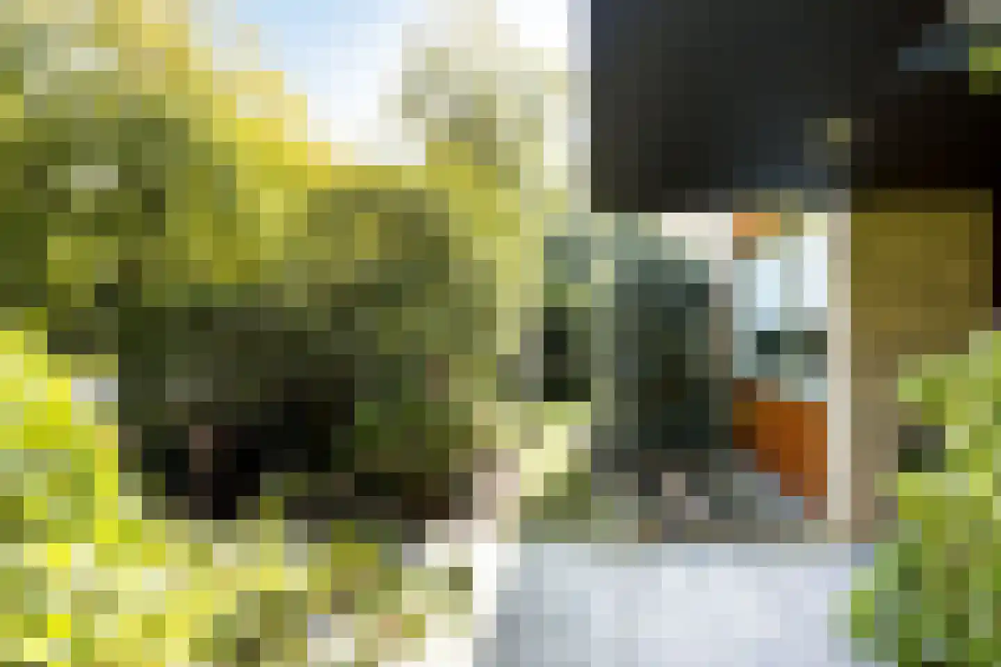 Hofdijck 90 Oegstgeest thumbnail 6
