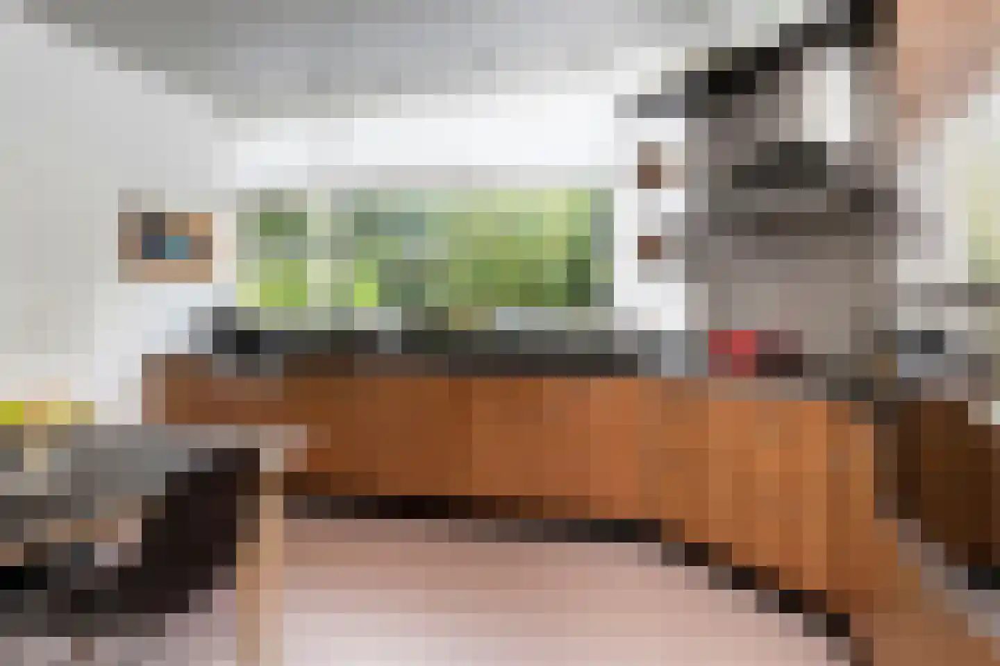Hofdijck 90 Oegstgeest thumbnail 9
