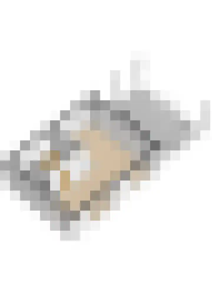 Hofdijklaan 55 R1 Oud Ade thumbnail 13