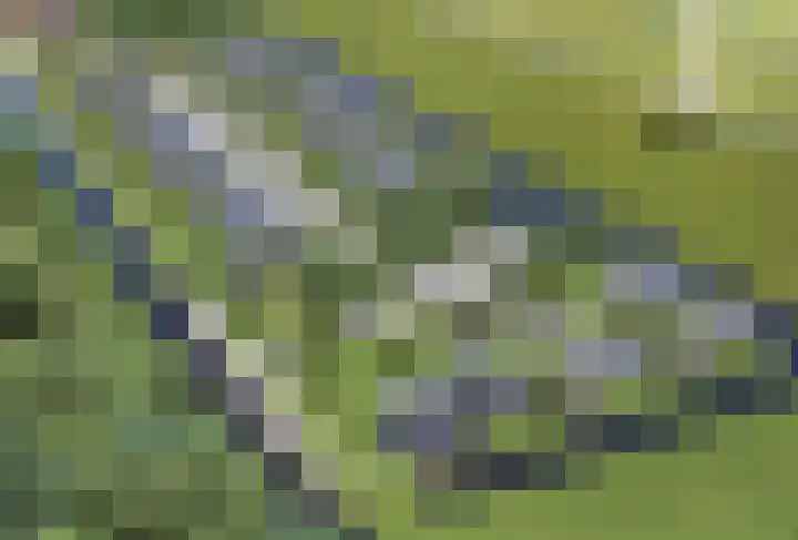 Hofdijklaan 55 R1 Oud Ade thumbnail 8