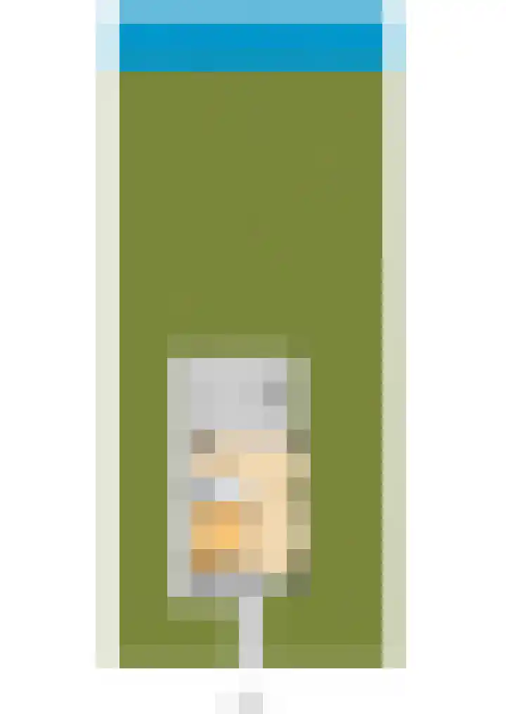 Hofdijklaan 55 R1 Oud Ade thumbnail 9