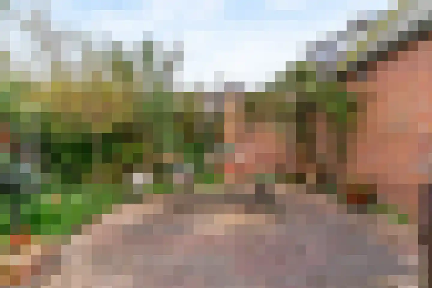 Hofdijklaan 61 Driehuis NH thumbnail 21