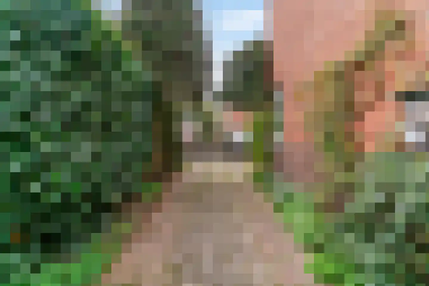 Hofdijklaan 61 Driehuis NH thumbnail 24