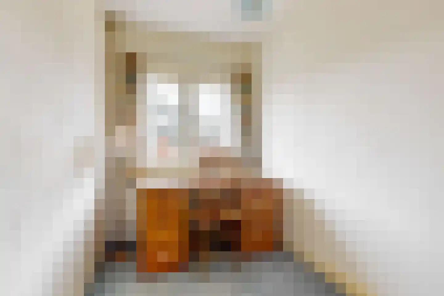 Hofdijklaan 61 Driehuis NH thumbnail 38