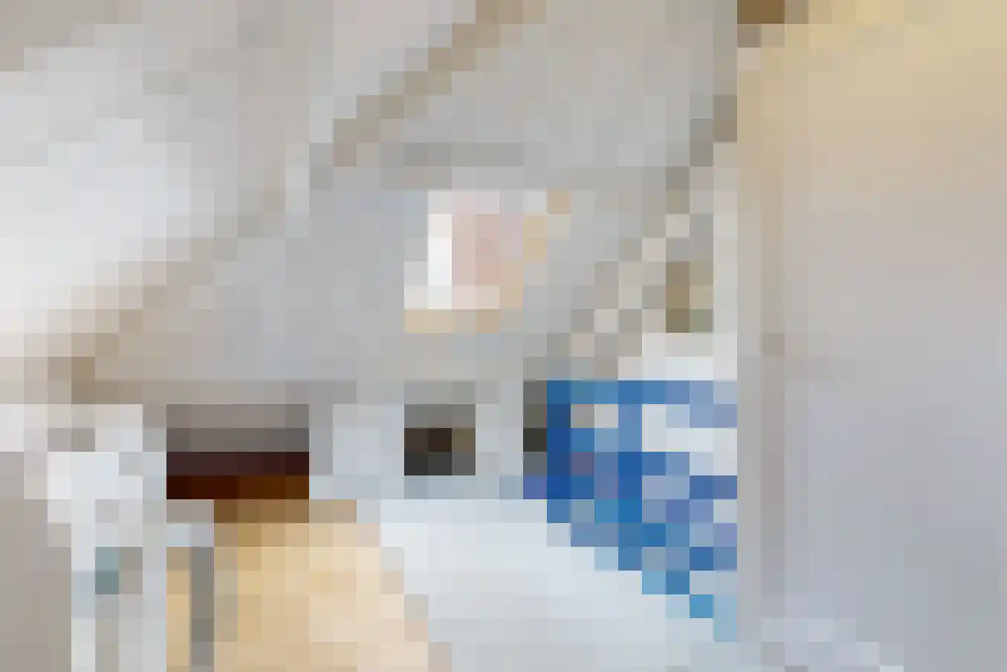 Hofdijklaan 61 Driehuis NH thumbnail 39