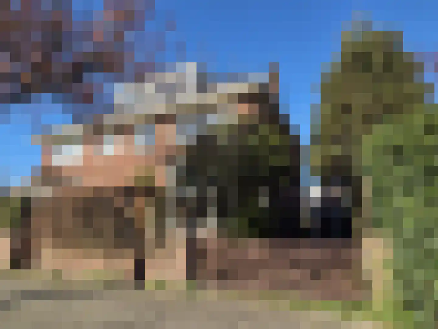 Hofdijklaan 61 Driehuis NH thumbnail 43