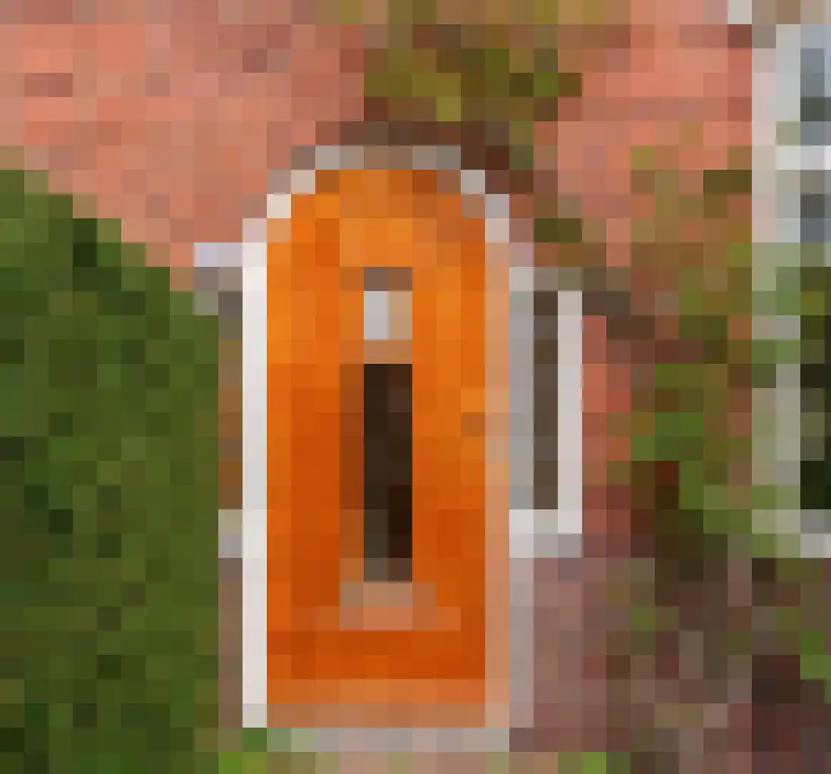 Hofdijklaan 61 Driehuis NH thumbnail 7