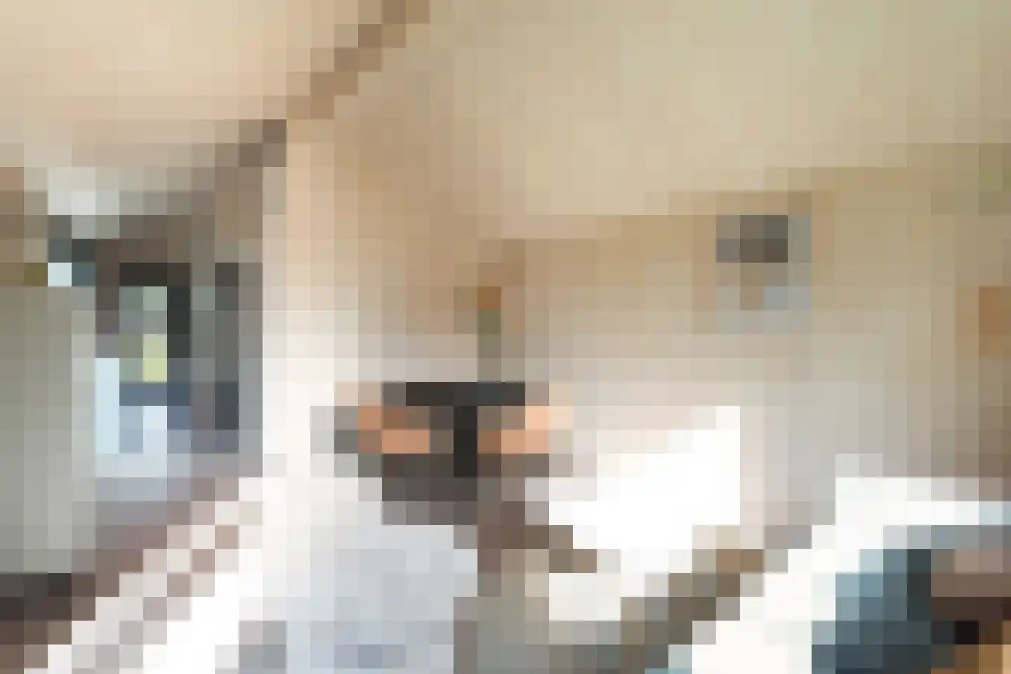 Hofdijklaan 61 R14 Oud Ade thumbnail 16