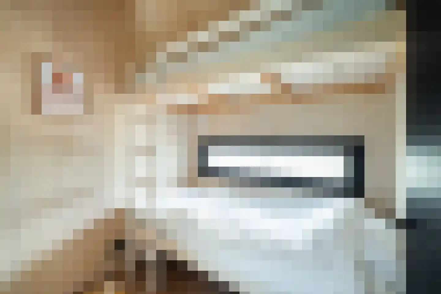 Hofdijklaan 61 R14 Oud Ade thumbnail 29